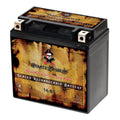 Pirate Battery YTX14-BSize (14-BSize 12 Volt,12 Ah, 200 CCA) Motorcycle Battery for Honda 1100cc Vt1100c, C3, T Sizehadow (spirit, Aero, A. C. E. Tourer) 2007