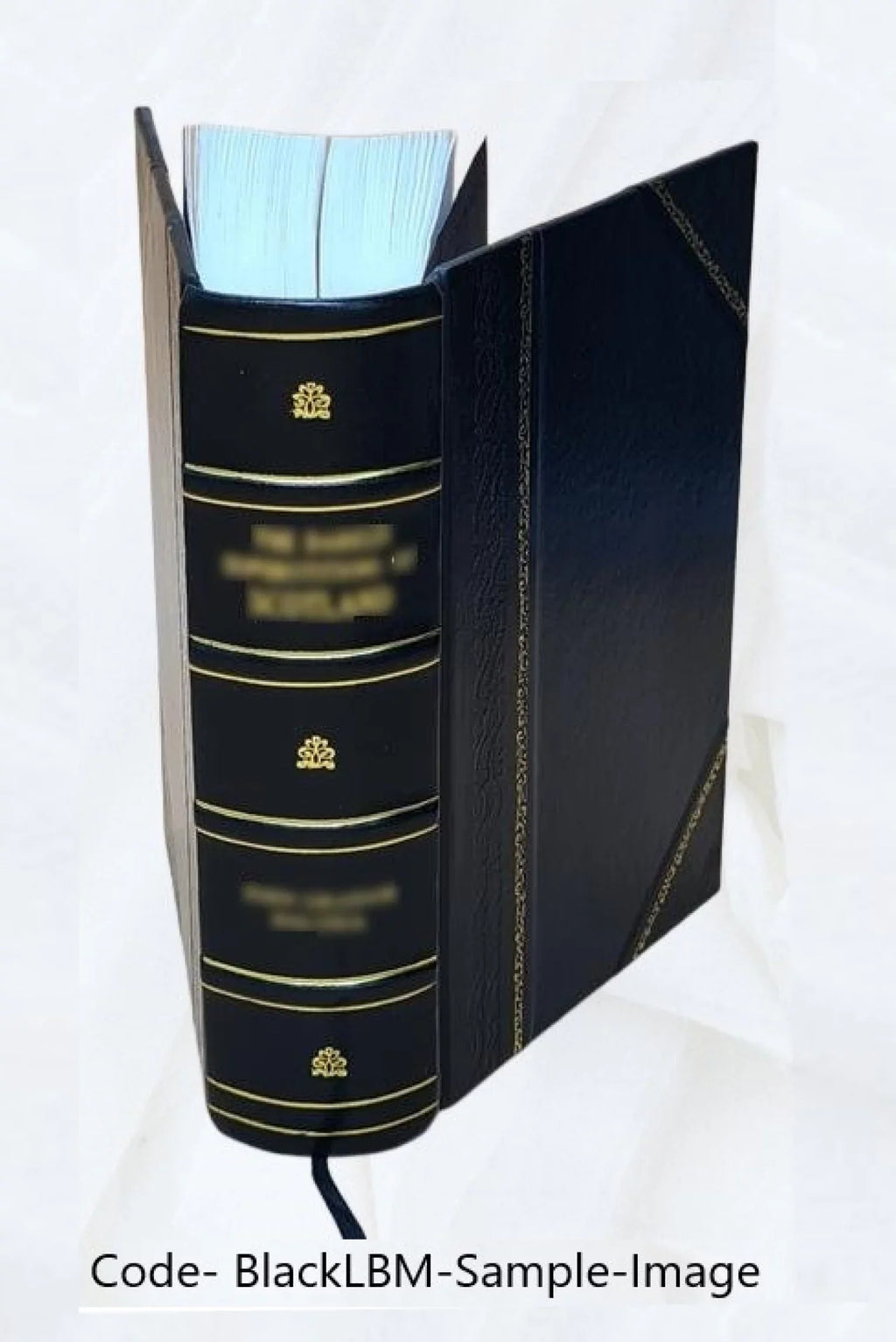 The old helmet : complete in one volume / by the author of "Wide, wide world." 1869 [Leather Bound]