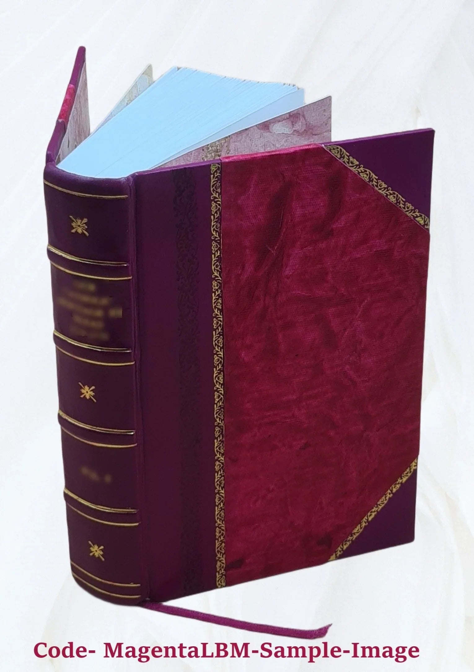 Grenzfragen des Nerven- und Sizeeelenlebens. Volume Bd.7:Heft42-47 (1906) 1906 [Leather Bound]
