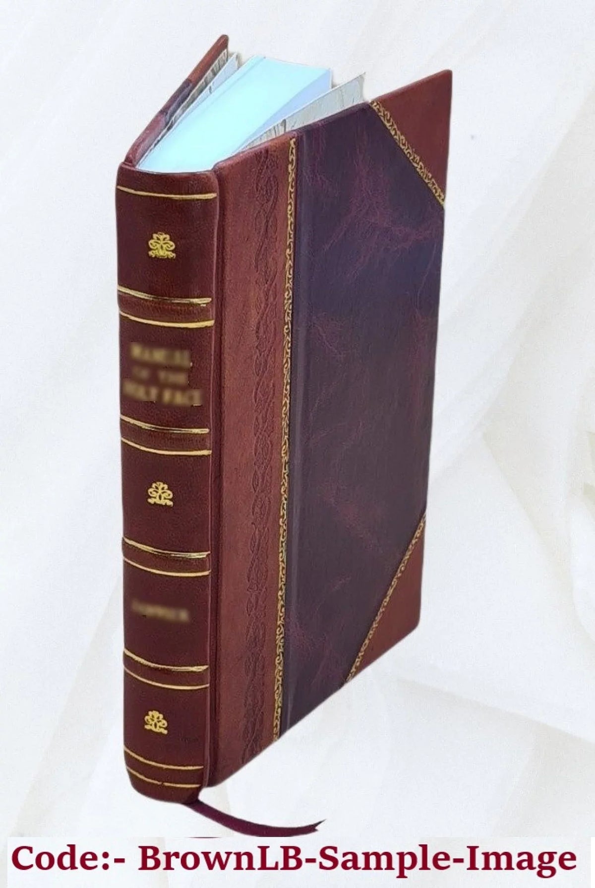 De volledige werken van J. F. Oltmans / met 700 oorspronkelijke illustratien ... van Jan de Jong. 1800 [Leather Bound]