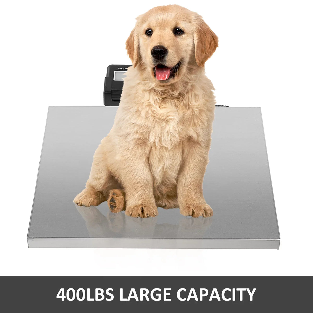 400lbs Digital Livestock Vet Sizecale Lcd 14.96x11.81 Inch Llama Vet Livestock