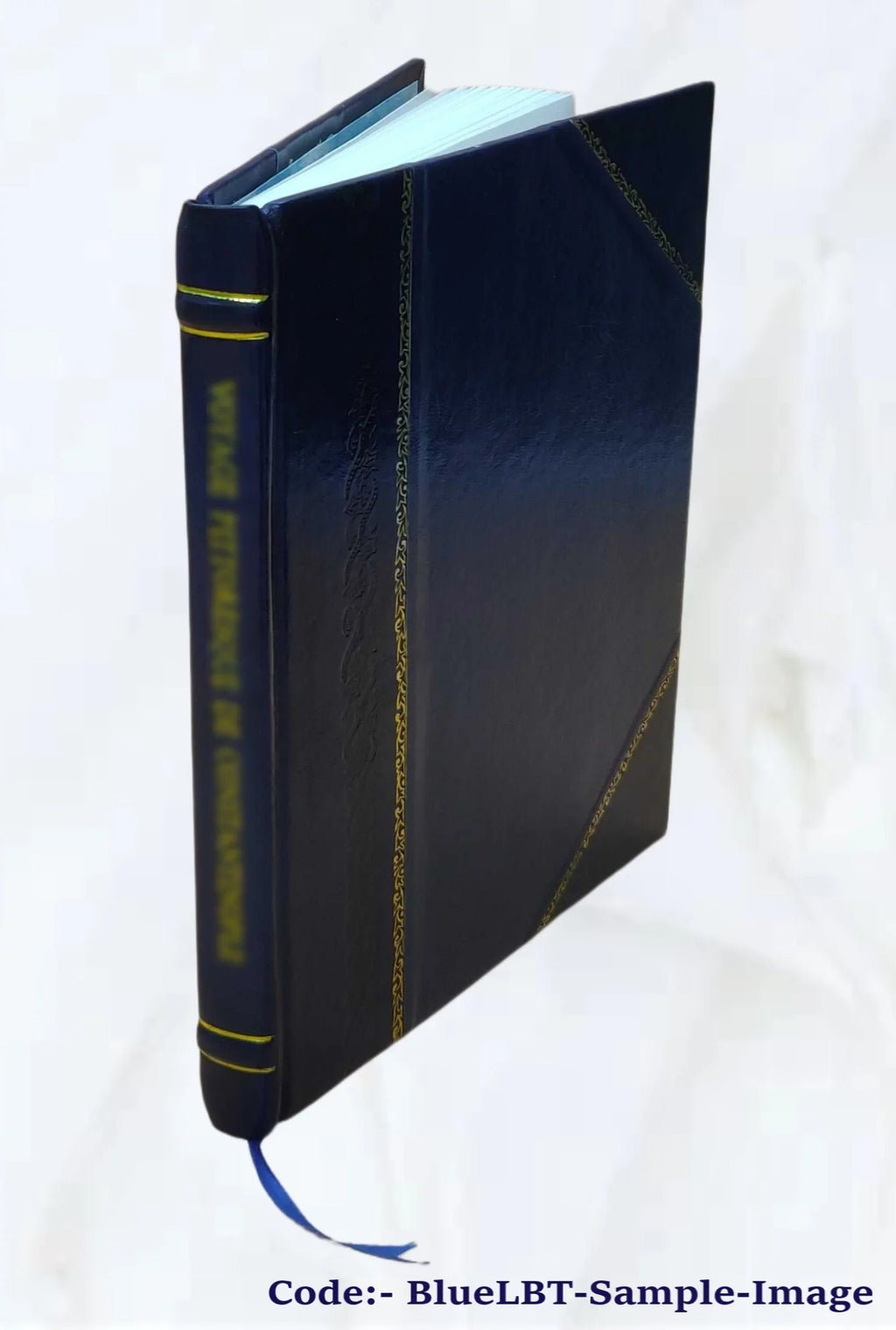 Otto Sizechneid Papers Photographs and Cards of Art Before 1939--Weingart Joachim. 20 11 [Leather Bound]