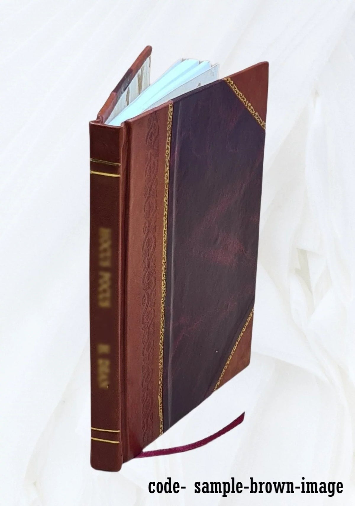 Compendio delle memorie istoriche delle arti e degli artisti della Marca d'Ancona / del signor marchese Amico Ricci. 1835 [Leather Bound]