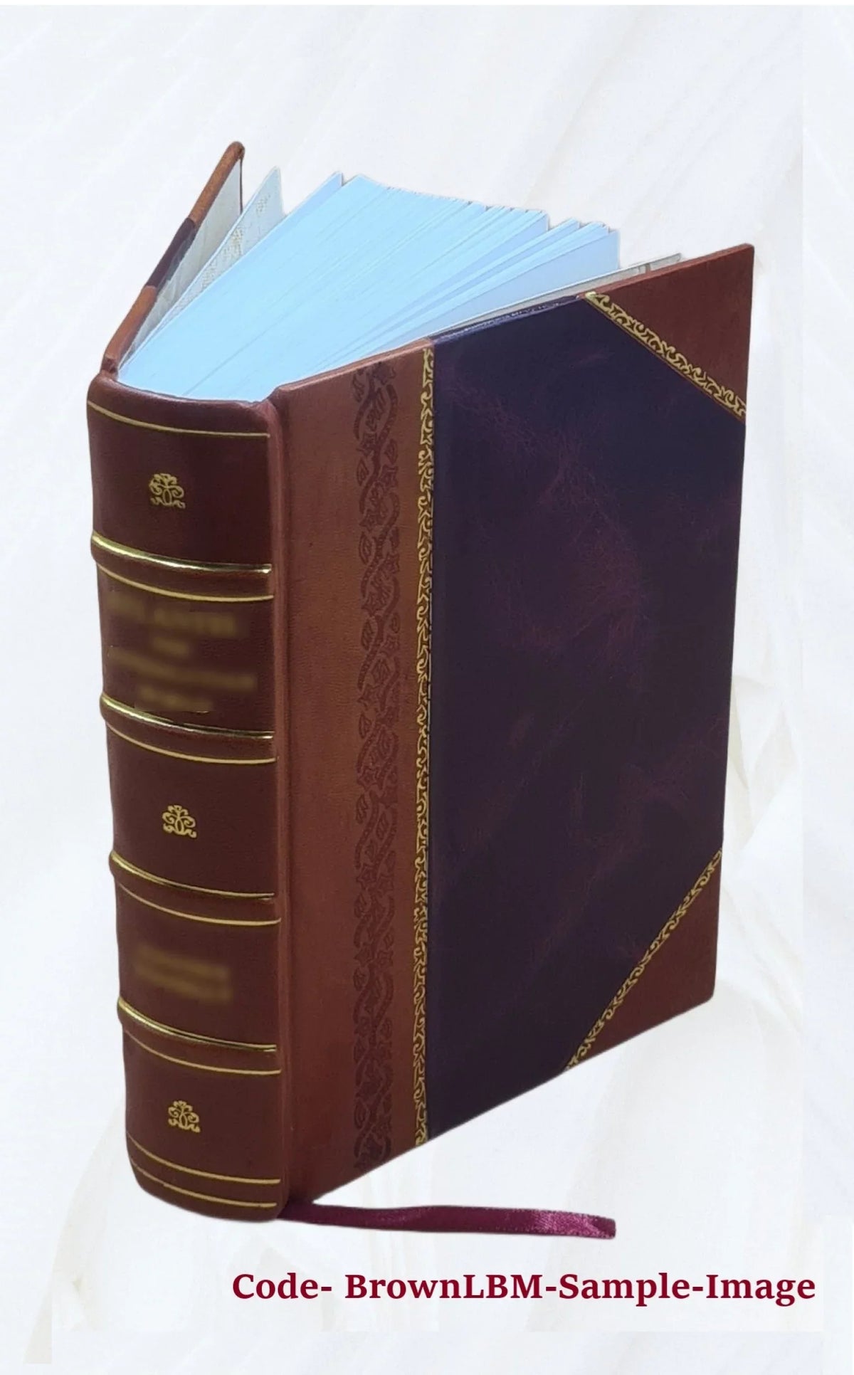 Grenzfragen des Nerven- und Sizeeelenlebens. Volume Bd.7:Heft42-47 (1906) 1906 [Leather Bound]